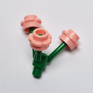 Flowers - Green w/ Warm Pink