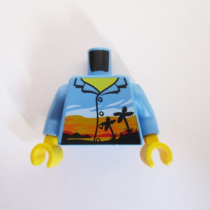 Light Blue w/ Collar, Sunset & Palm Tree's Design