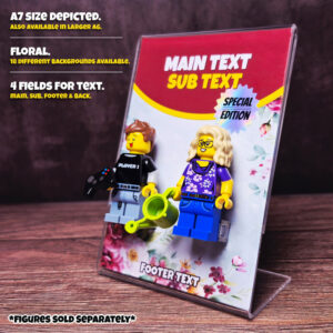 Customizable Plexiglas Display Stand ( 2 Figure )