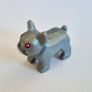French Bull Dog - Silver w/ Pink Eyes