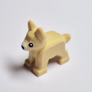 Alsatian/German Shepard Puppy - Light Tan